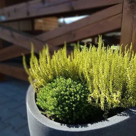 펜션 House Sabala 2